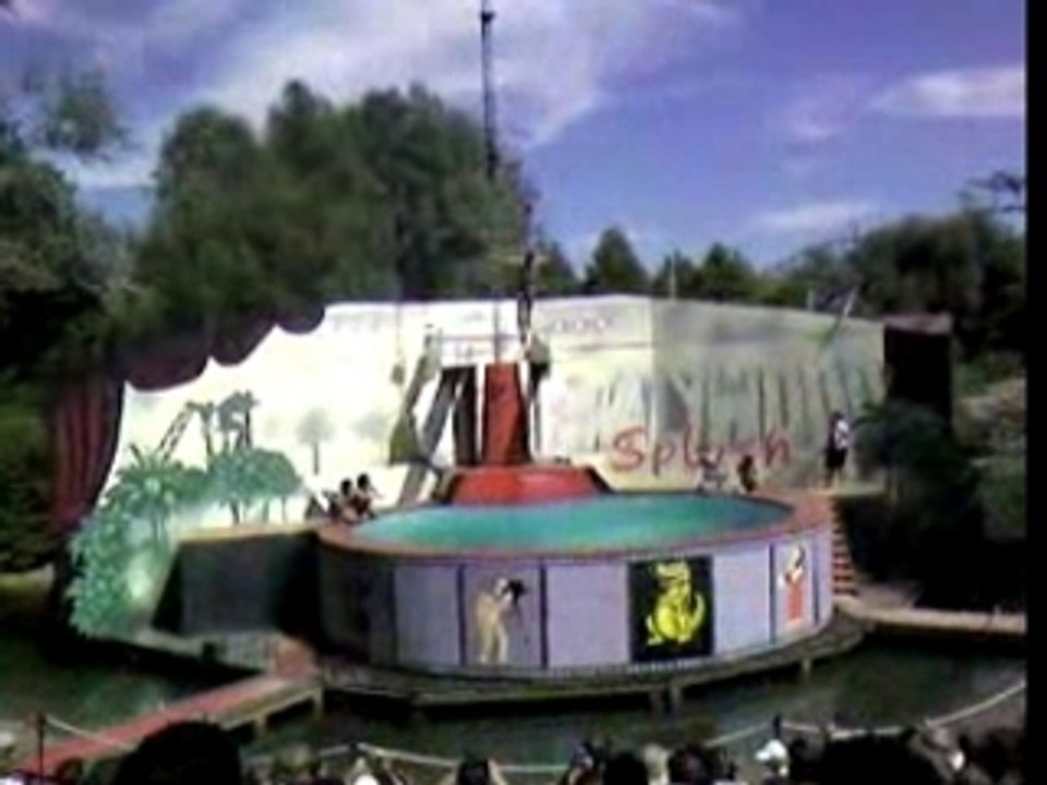 Walygator plongeon de haut vol