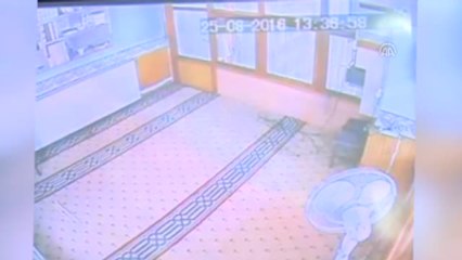 Camideki Hırsızlık Güvenlik Kamerasında