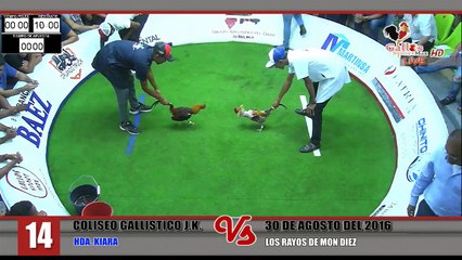 pelea 1_14
