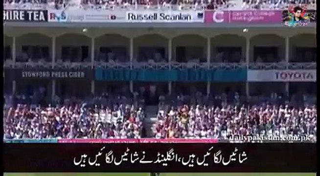 Funny Song on Pakistan Cricket Team after losing match Pakistan vs England