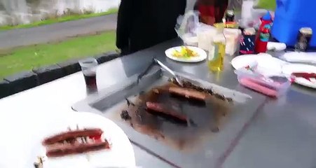 Un halcón dejó caer una serpiente en una parrilla familiar