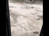 Colorado Springs Postal Worker's Truck Gets Stuck in Torrent of Floodwater