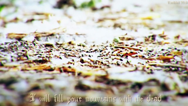 VIOLENT BIBLE RAP _ Dan Bull & Boyinaband feat. God