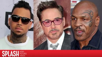 A Look as Some of the Most Notorious Hollywood Felons