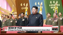 N. Korea executes vice premier for anti-revolutionary crimes