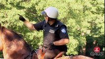 Horse Ride Gone Wrong - Just For Laughs Gags