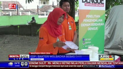 EDP UGM: Bakteri Wolbachia Mampu Tekan Perkembangan Virus Zika