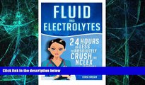 Big Deals  Fluid and Electrolytes: 24 Hours or Less to Absolutely Crush the NCLEX Exam! (Nursing