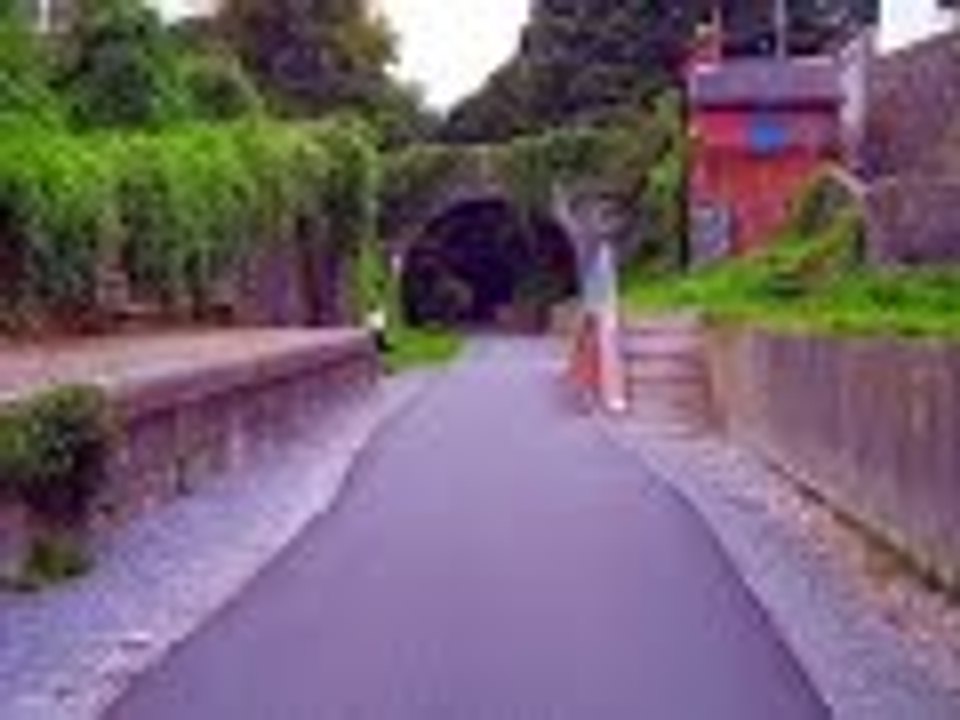 Ghost Stations - Disused Railway Stations in ‎County Cork ( Republic of Ireland )