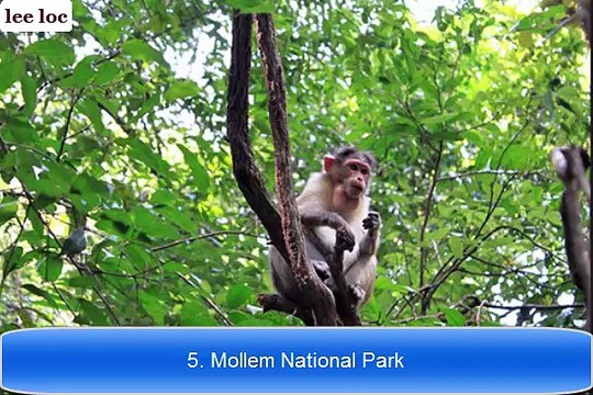 National Parks - Top 10 National Parks In India