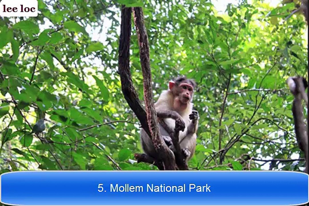 National Parks  - Top 10 National Parks In India