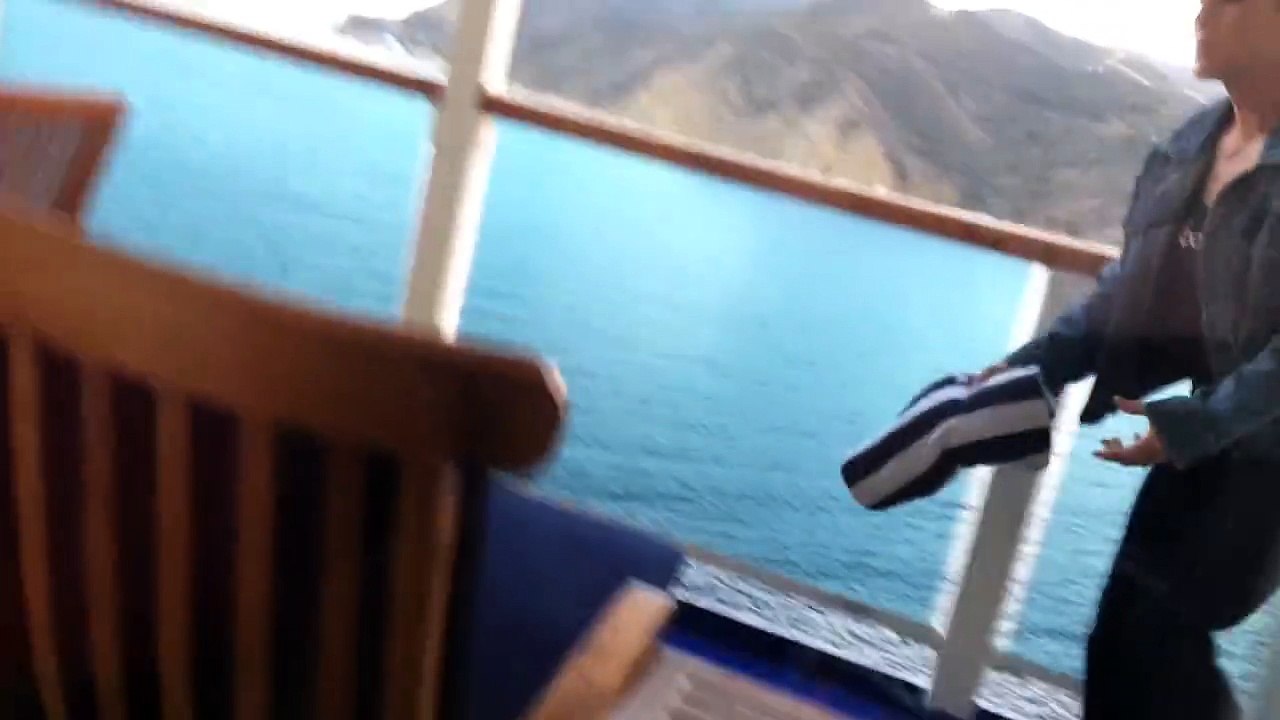 Seagull Gets Into A Sticky Situation