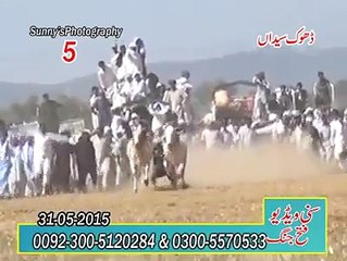 Funny videos people fail BULL RACE