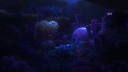 Sinema - Kayıp Balık Dori