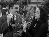 Addams Family (S01E01) The Addams Family Goes to School -