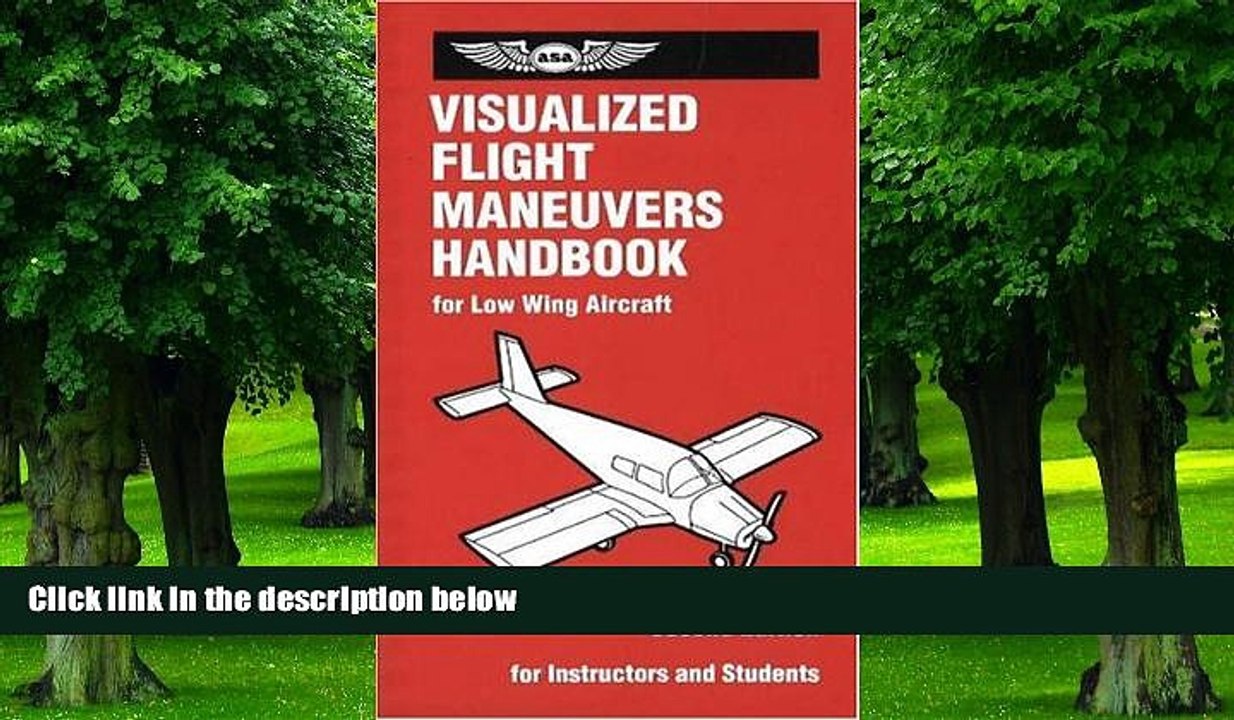 Big Deals  Visualized Flight Maneuvers Handbook: For Low-Wing Aircraft, Revised Second Edition