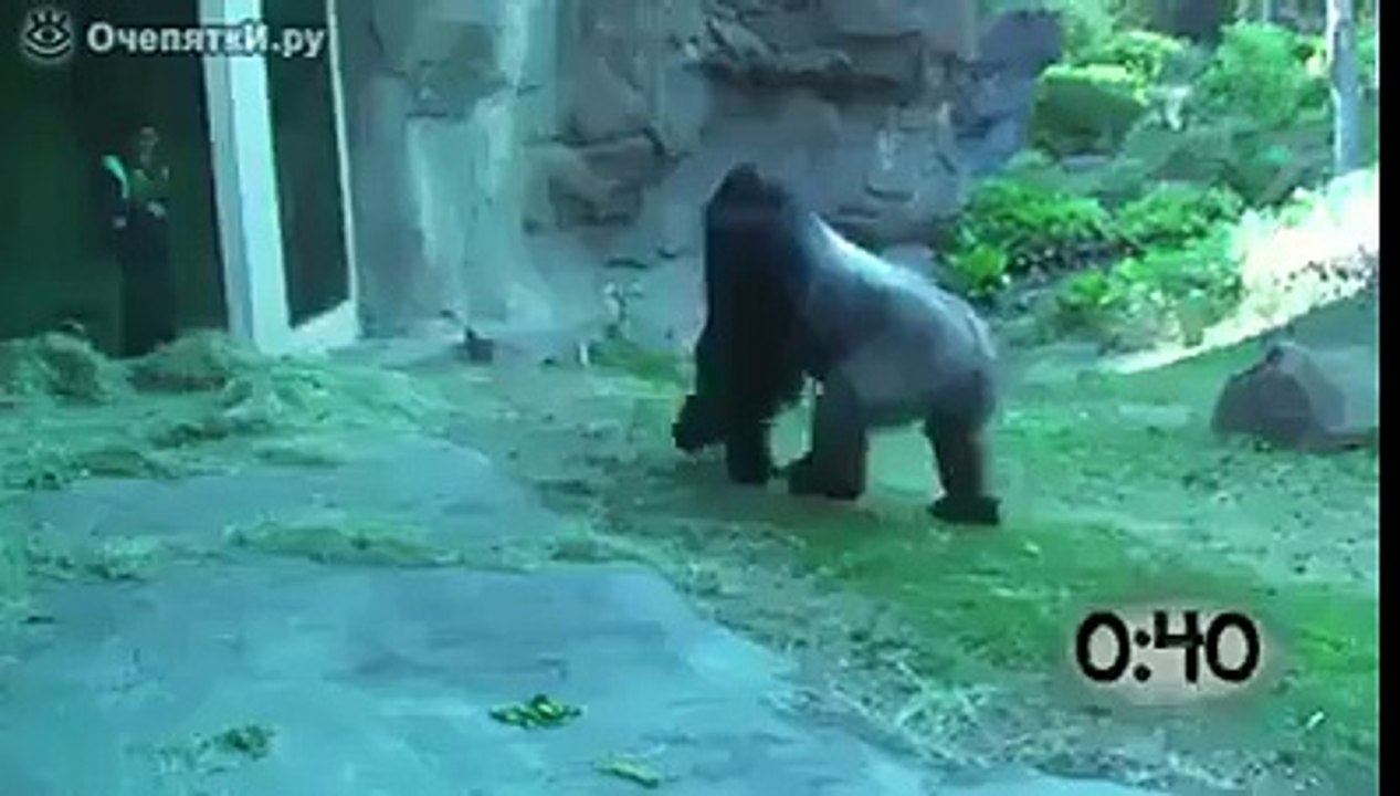 Just For Laugh