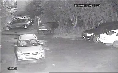 Une meute de chiens attaquent une voiture sans raison en pleine nuit en Russie