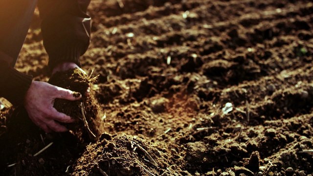 İHH Kurban Bağışı Çağrısı