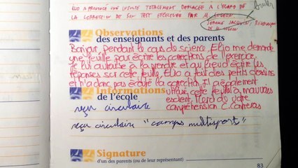 LES REMARQUES DE MES PROFS