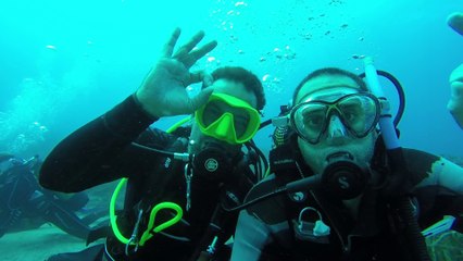 2016.08.31 - Buceo La ala (Carboneras)