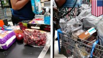 Food Stamp: Photo of shopping cart full of food purchased via EBT sparked controversy - TomoNews