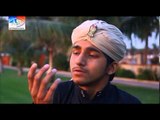 Muhammad Waleed Noorani - Moula Ya Saale Wasallim - AM