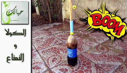 شاهد ماذا يحدث لزجاجة الكولا عند وضع 10 حبات نعناع فيها