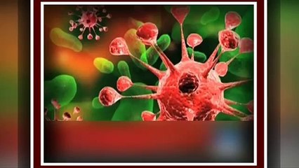 What is Congo Virus & how to be safe complete information urdu hindi