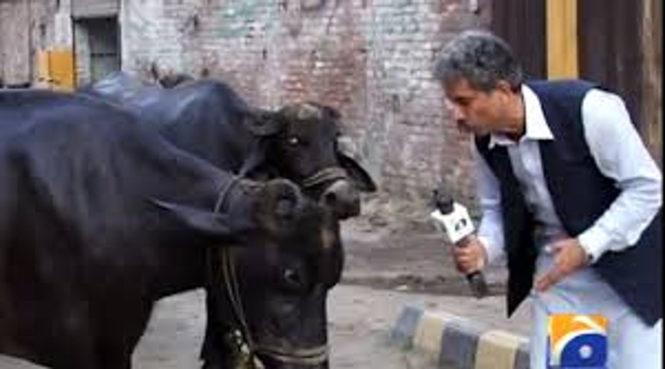 Most Stupid Journalist You Have Ever Seen in Pakistan
