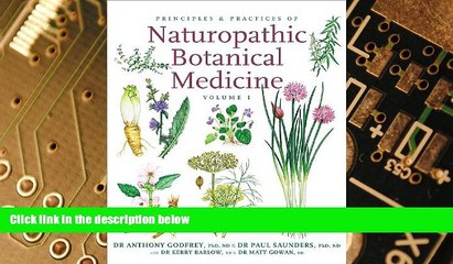 Big Deals  Principles and Practices of Naturopathic Botanical Medicine: Volume 1: Botanical