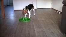 spelen met je eten