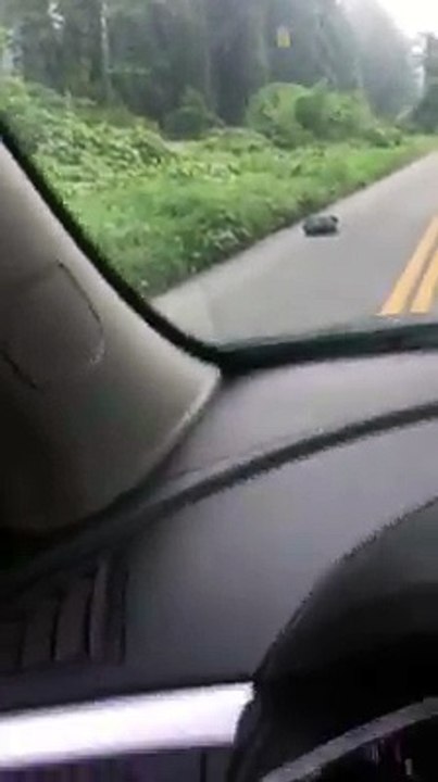 (1) Une conductrice voit un sac-poubelle aux mouvements bizarres sur la route, quand elle découvre le contenu, elle est sous