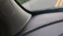 (1) Une conductrice voit un sac-poubelle aux mouvements bizarres sur la route, quand elle découvre le contenu, elle est sous