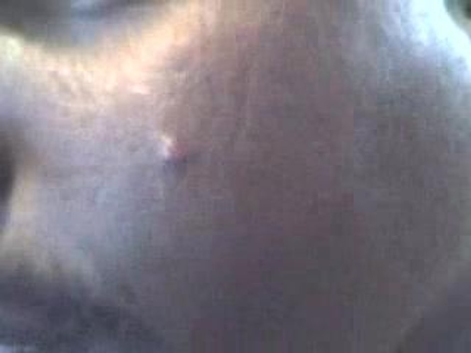 thezit