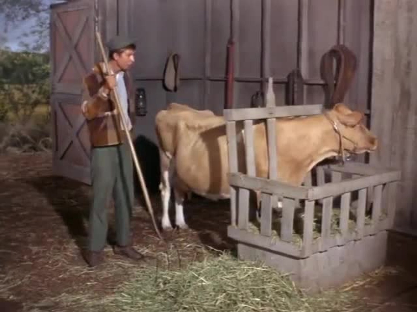 Image result for eleanor green acres