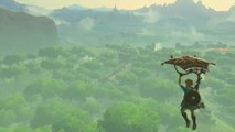 Zelda Breath of the Wild - Parapente