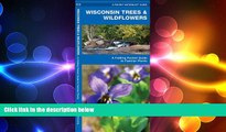 READ book  Wisconsin Trees   Wildflowers: A Folding Pocket Guide to Familiar Species (Pocket