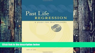 Big Deals  Past Life Regression: A Guide for Practitioners  Free Full Read Most Wanted