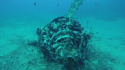 2016.08.31 - Buceo en El motor y  en El crater (Carboneras)
