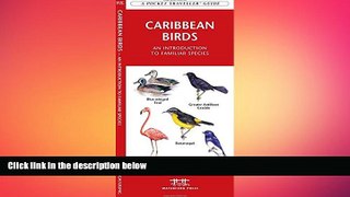 FREE PDF  Caribbean Birds: A Folding Pocket Guide to Familiar Species (Pocket Naturalist Guide