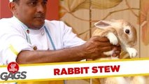 Rabbit Stew Prank - JFL Gags Asia Edition