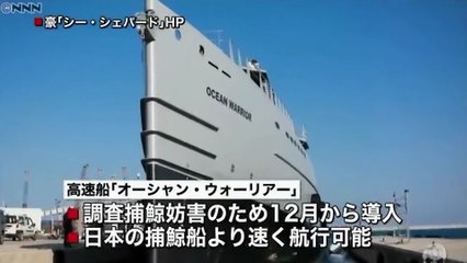 【豪シー・シェパード】日本の調査捕鯨を妨害するため、新たに高速船を導入