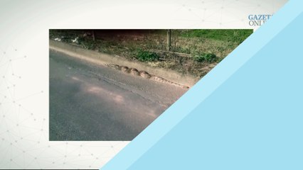 Jiboia encontrada em estrada entre Vargem Alta e Cachoeiro de Itapemirim