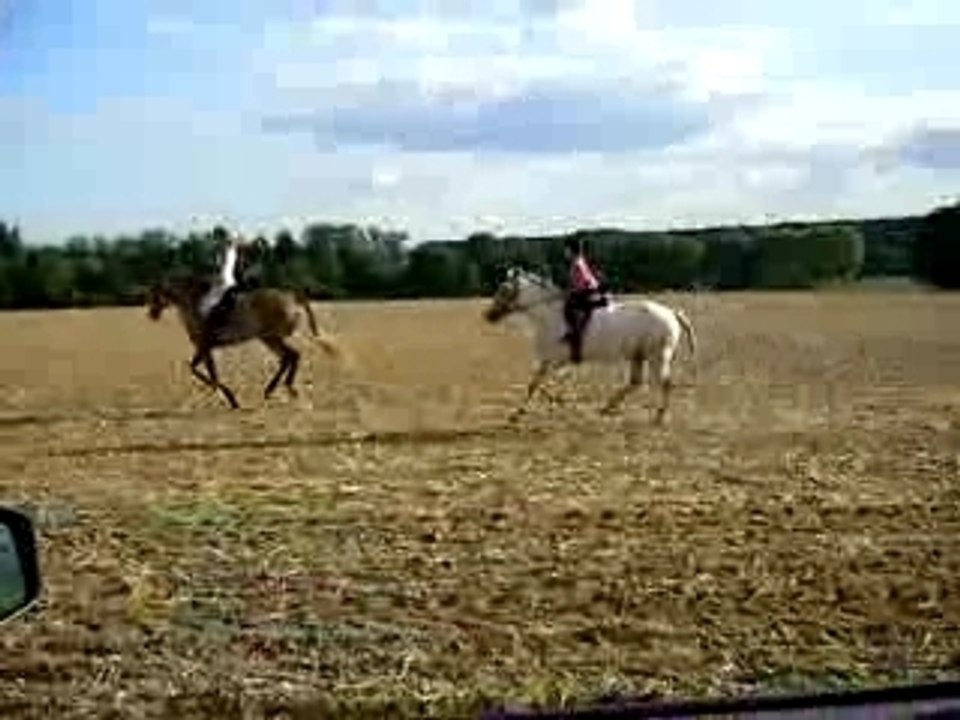A FOND DANS LES CHAMPS