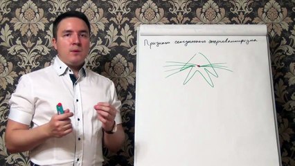 Евгений Грин — Признаки сексуального Энерговампиризма