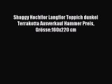 Shaggy Hochflor Langflor Teppich dunkel Terrakotta Ausverkauf Hammer Preis GrÃ¶sse:160x220 cm