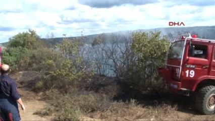 3. Köprü Yakınlarında Orman Yangını