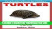 [New] Turtles - Fun and Fascinating Facts About These Awesome, Cool   Weird Creatures (Easy