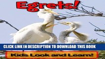 [New] Egrets! Learn About Egrets and Enjoy Colorful Pictures - Look and Learn! (50  Photos of
